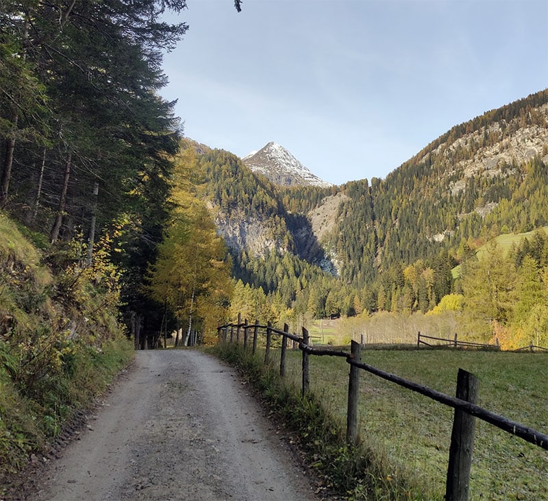 De natuur in Oostenrijk