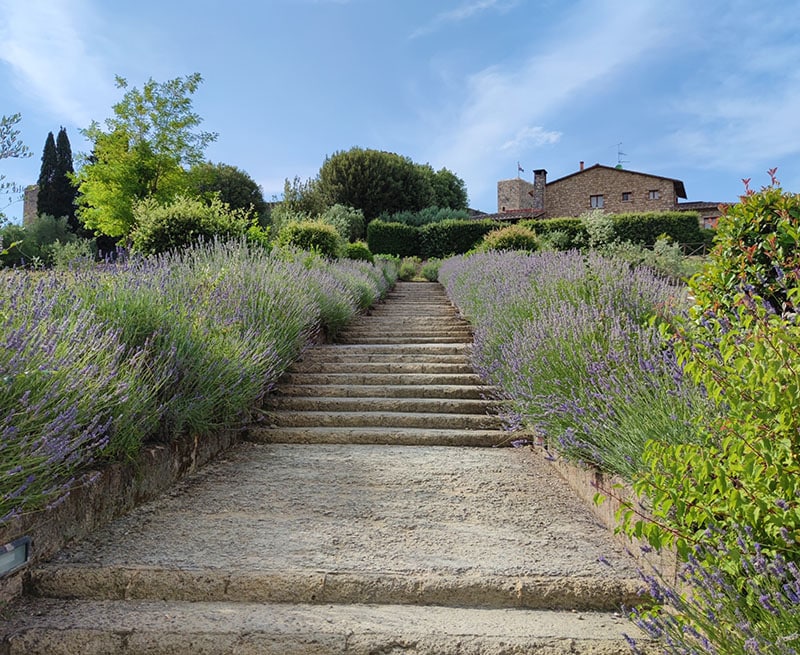 Bezoek Monteriggioni, een van de mooiste vestigingsstadjes van Italie