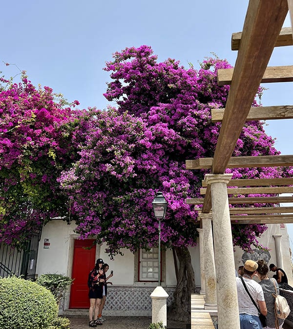 Miradouro de Santa Luzia