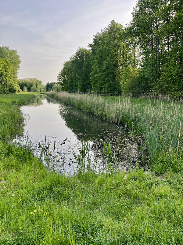 Biesbosch Dordrecht: fietsroute, skeeleren, niewue Biesbosch