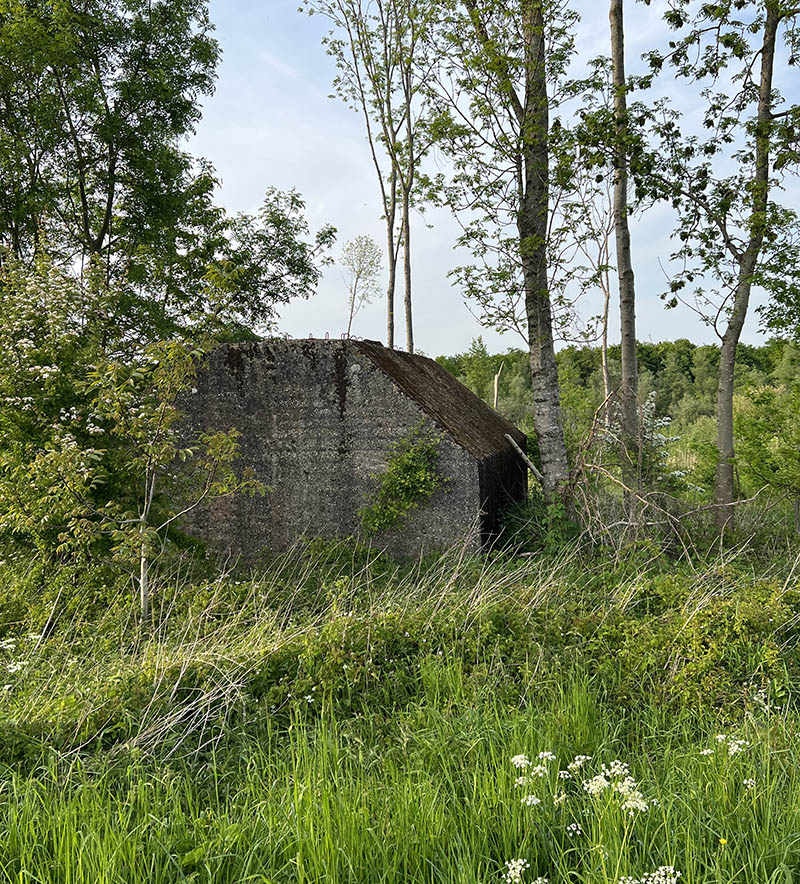 De bunkers van Dordrecht in de Nieuwe Dordtse Biesbosch