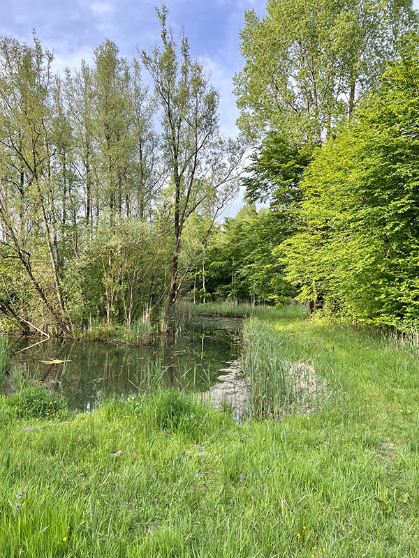 Nieuwe Biesbosch - fietsroute