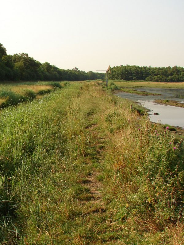 Natuurgebied Bokkegat in Zeeland