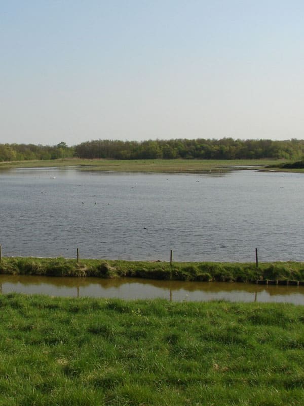 Natuurgebied Bokkegat in Zeeland