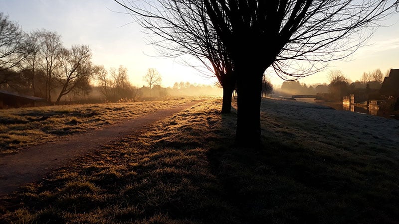 Natuurlandschap Alde Feanen in Friesland