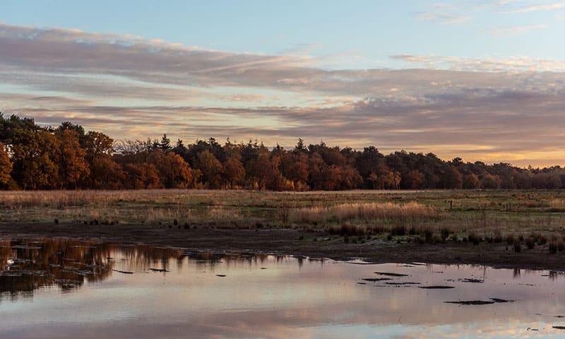 Ossendrechtse Duinen - Mooiste natuurgebieden van Nederland