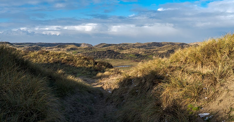 Mooiste natuurgebied van Nederland: Zuid-Kennemerland - Photocredits to Auke Bakker