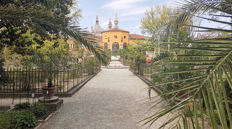 Botanische tuinen in Padua - photocredits vickie-heydon-matterface